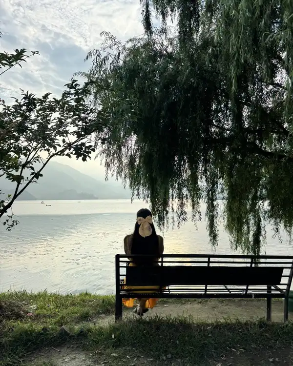 A person sitting on a bench under a weeping willow, looking out over a lake